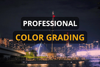 professionally color grade your video as a colorist