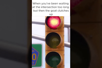 create funny tiktok edits or memes