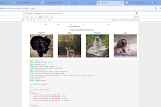 build machine learning models, image classification and data science projects in