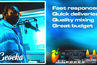 professionally mix and master your trap song within 8 hours