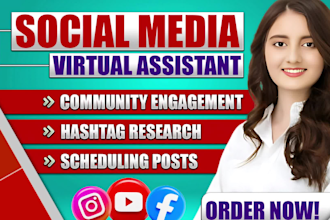 manage and grow your instagram, facebook, and youtube as your virtual assistant