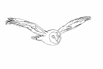 do quality 2d traditional line art frame by frame hand drawn sketch animation