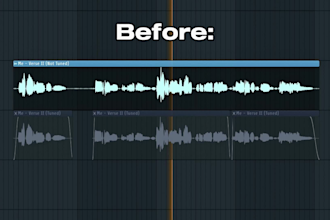 tune your vocals to perfection using newtone