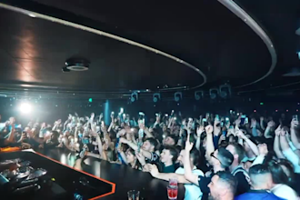 do expert editing for nightclub reels, birthdays and concerts for instagram
