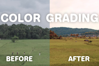 do color grading and color correction