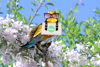 lip sync and animate picture of your pets or any animal