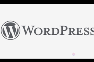 do wordpress bug fixing, fix wordpress issues