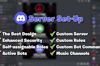 professionally setup discord server with expert optimization