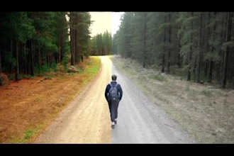 do professional capcut video editing for your reels