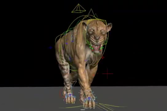 do realistic tiger 3d animal animation, vfx animal for film, model and rig, fur