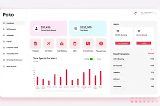 do saas explainer video saas demo software video saas animation explainer