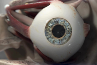 create 3d medical animation, 3d scientific video animation, 3d dental animation