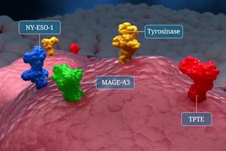 create 3d medical video cancer treatment moa immunotherapy pharma animation