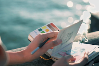 do professional video color grading and color correction