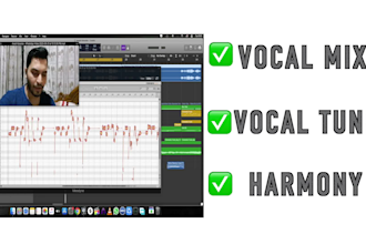 manually tune, mix vocals by melodyne in 24hrs