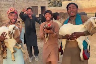 african happy birthday video african happy birthday video