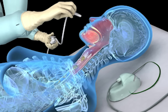 design realistic 3d medical animation video, human anatomy structure 3d skeleton