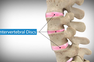 do 3d medical animation spinal orthopedic surgical  human anatomy 3d model