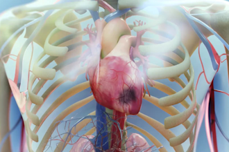 do 3d medical animation, pharmaceutical and moa explainer video scientific video