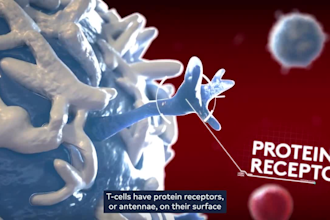 create 3d medical animation for car t cell therapy biotech animation video