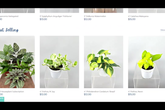 design plant and seed ecommerce website plant shopify store flower website