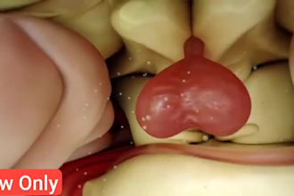 create 3d medical animation anatomy animation surgical medical device animation