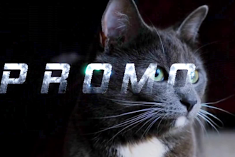 create promotional video ads or short video ads for marketing commercial