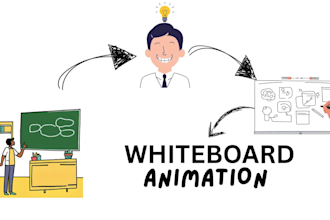 custom 2d colorful whiteboard animation explainer videos doodle videos