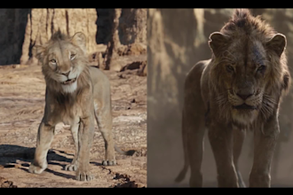 do cgi realistic 3d character design  3d animal animation vfx xgen heir fur lion