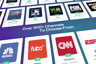 do saas explainer video, software explainer, website promo, UI animation