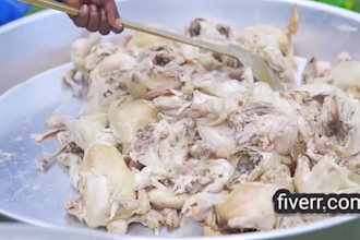 shoot village cooking videos
