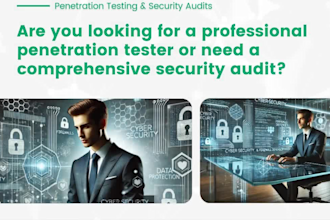 do website penetration testing and security audit