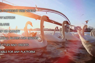 create a nature music video for your song