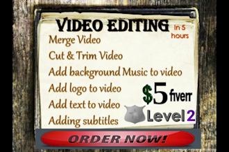 cut, merge video, add music, add logo to video in 5 hours