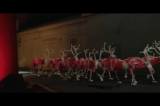 integrate 3d animal animation into livefootage, 3d animal model, cgi models HD