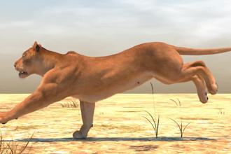 do cgi 3d animal modelling, 3d animal creature animation compositing for film