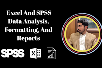 do excel and spss data analysis, formatting, and reports