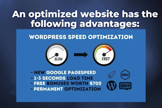 do wordpress speed optimization for google page speed