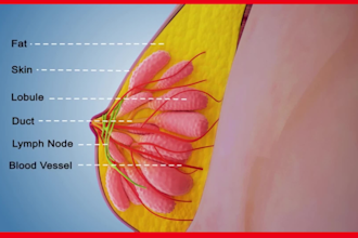3d medical animation video, 3d medical animation, 3d medical animation video