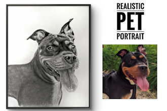 draw your cat, dog, or any pet into realistic pencil portrait