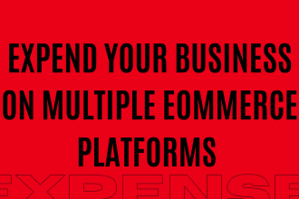 manage your ecommerce business on amazon, walmart, ebay, tiktok shop, shopify