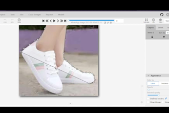 do image, video, and text annotation and data labeling
