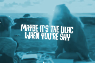do professional cinematic animated lyrics or music video in 24 hours