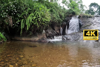 film 4k 10minutes exclusive nature video with original sound