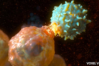 create high quality 3d medical animation for healthcare and devices