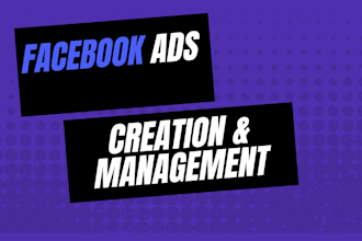 set up professional facebook page and social media accounts