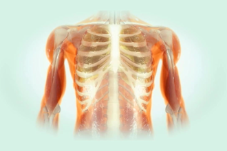 create custom medical 3d animation using 3d softwares and ai