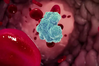 create 3d pharmaceutical mechanism of action moa animation