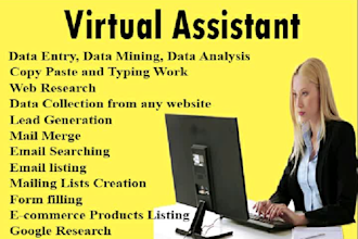 be your virtual assistant for linkedin data entry, web research