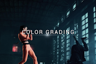 do professional video color correction and color grading
